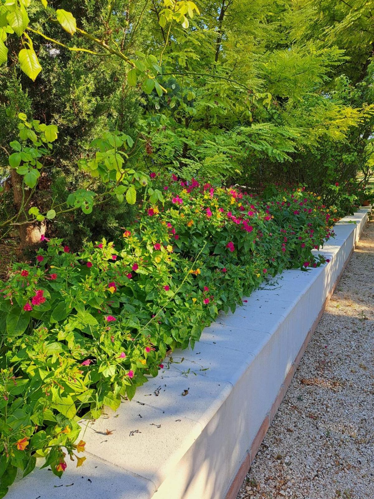 La Casa Nel Verde Larino Eksteriør bilde